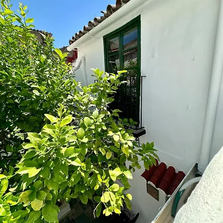 Espectacular Casa Cordobesa قرطبة
