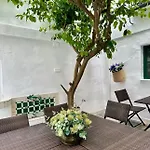 Espectacular Casa Cordobesa Holiday home