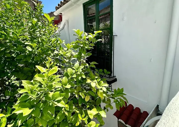 Espectacular Casa Cordobesa Cordoba